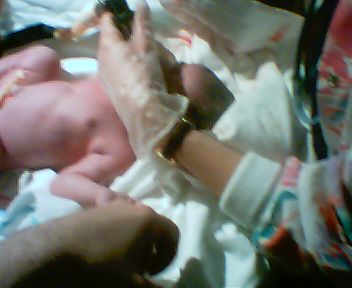 CRE00060 JPG        24,064  01-13-04  2:20a